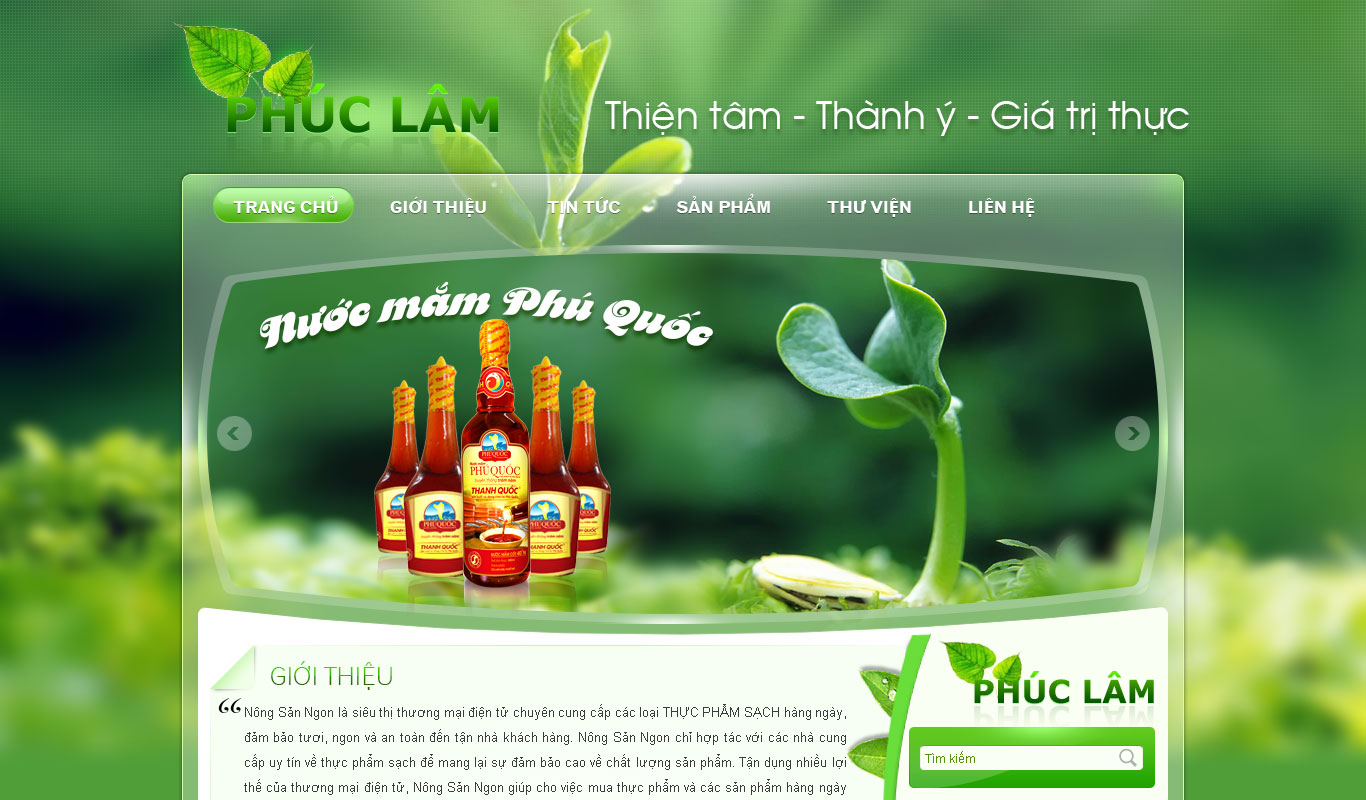 Thiết kế website đnẹ ở Vĩnh Phúc