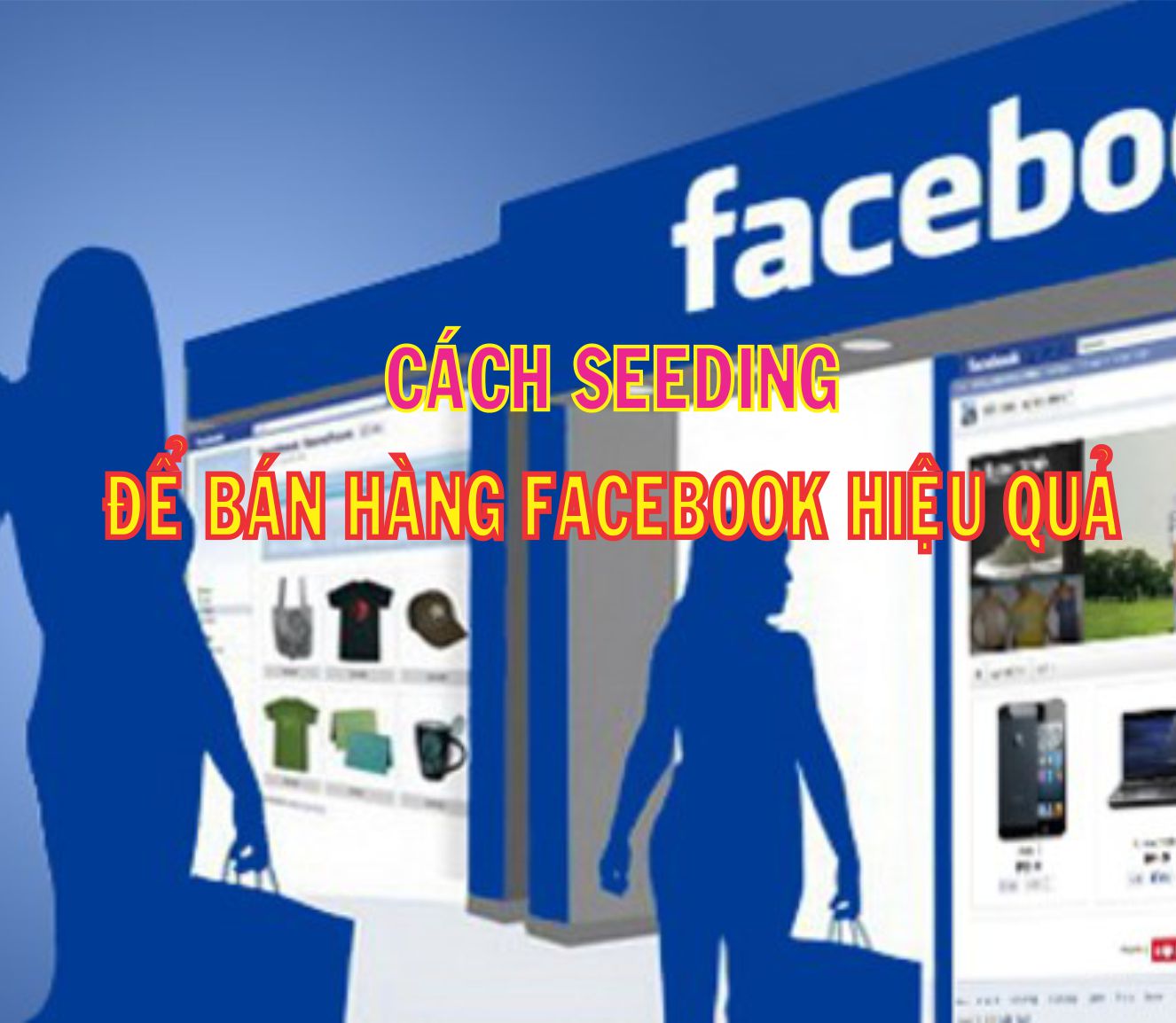 seedig facebook hiệu quả